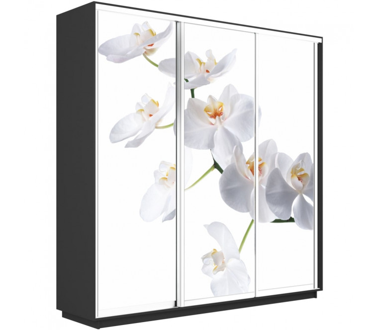 Шкаф-купе Трио фото Орхидея 2400 new декор