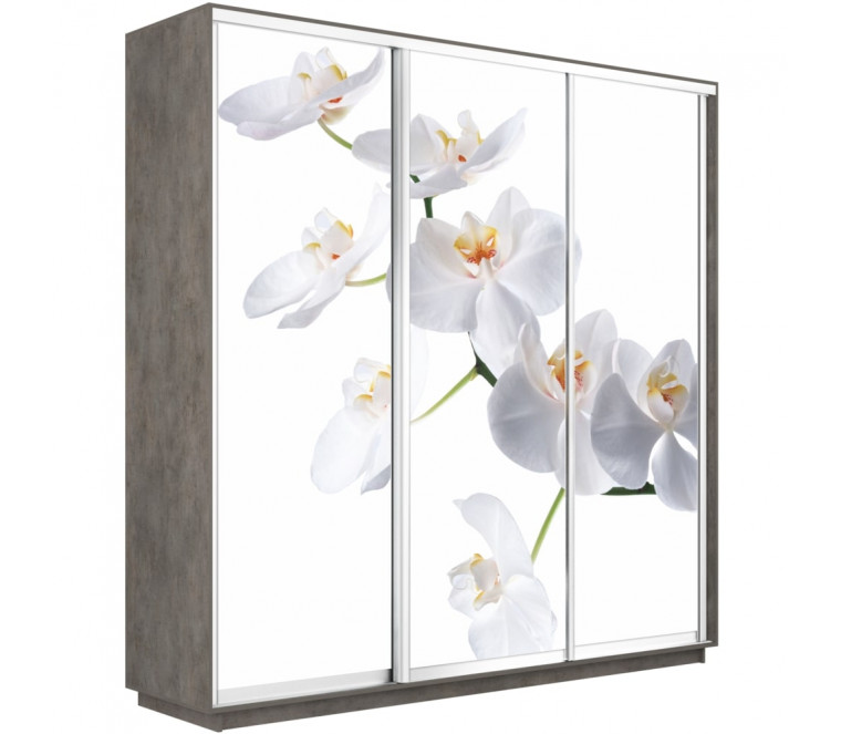 Шкаф-купе Трио фото Орхидея 2400 new декор