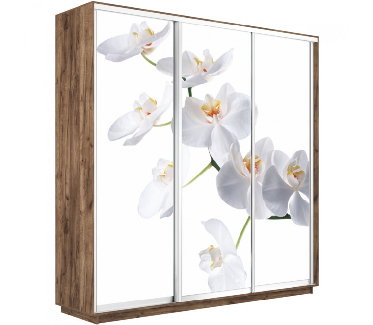 Шкаф-купе Трио фото Орхидея 2400 new декор